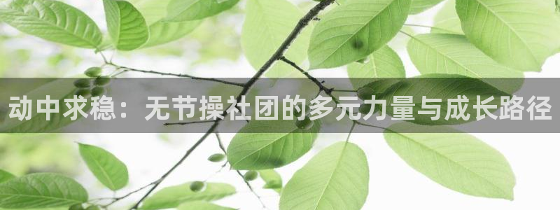 muvluvate风车动漫：动中求稳：无节操社团的多元力量与成长路径