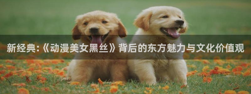 镇魂街动漫风车动漫：新经典:《动漫美女黑丝》背后的东方魅力与文化价值观