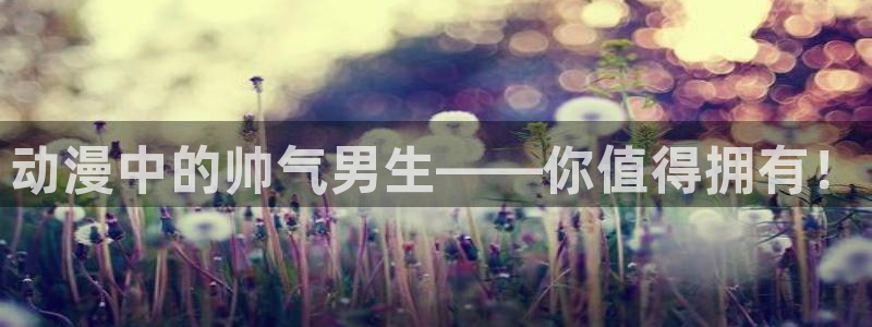 风车动漫的：动漫中的帅气男生——你值得拥有！